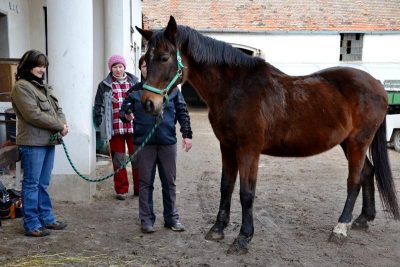 Skamarádíme se nebo ne? Aneb sázka do loterie....