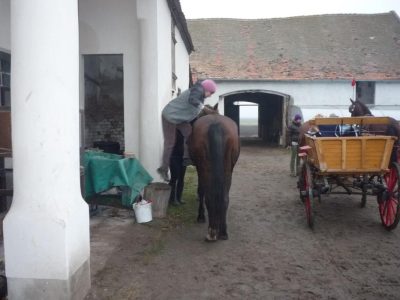Na koně!!!! Tohle by se nám kypřejším nepodařilo.Snad jen vysokozdvižným vozíkem.