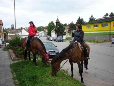 Mountfield 1 + 2. Tak tohle u nás ještě nebylo.