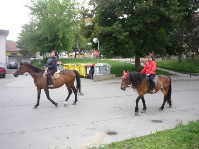 Tak na koně a víkend končí.