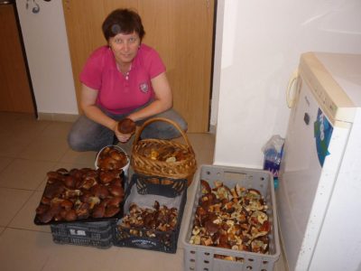Kruci, bude těch přepravek vůbec dost?